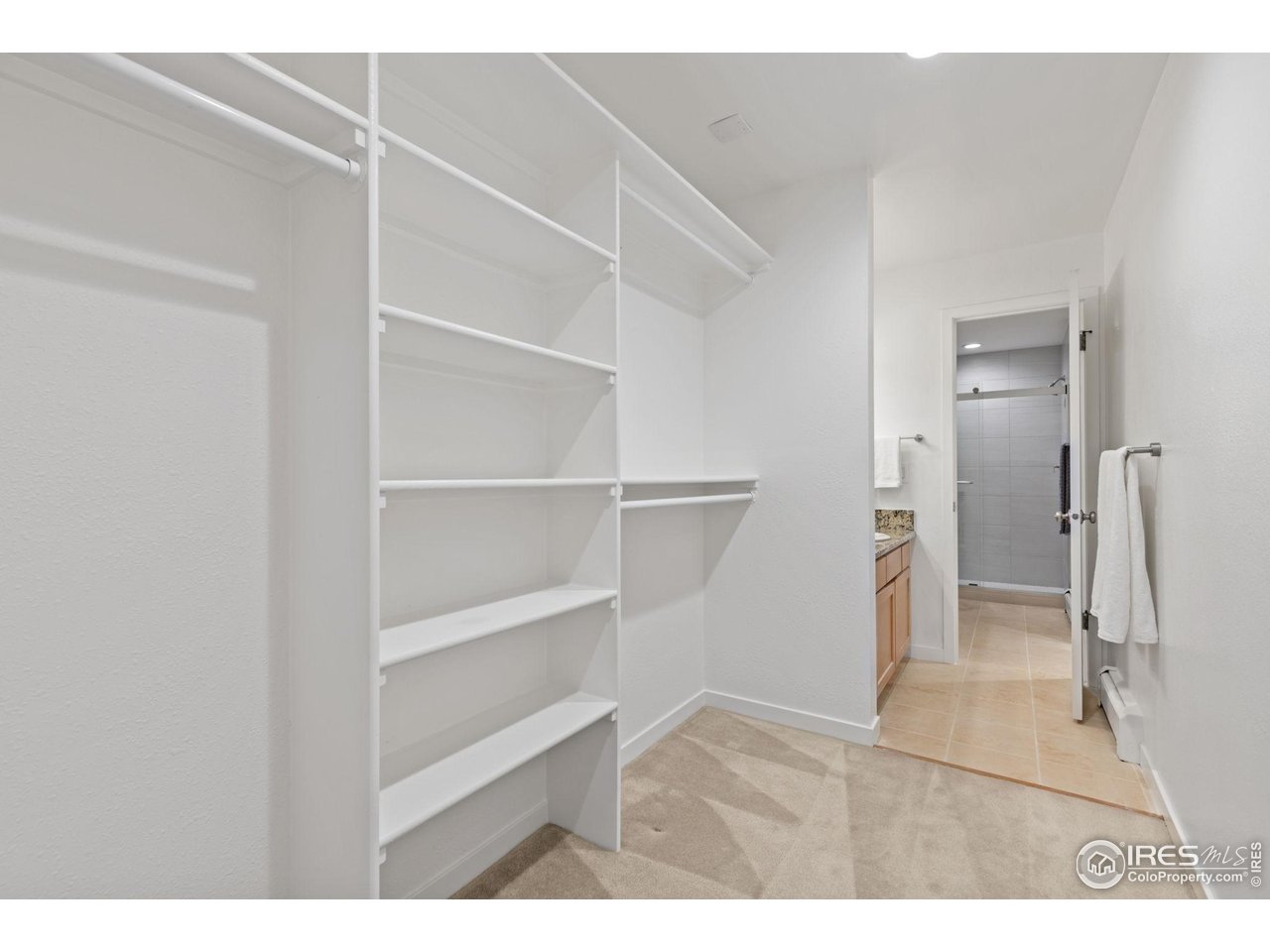 3805 Northbrook Dr D