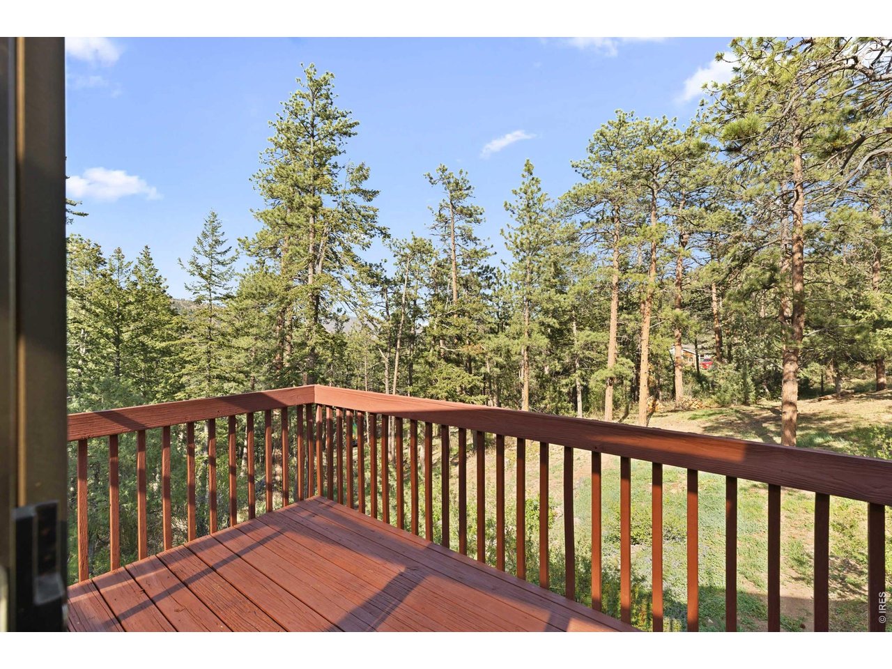 1003 Eagle Dr
