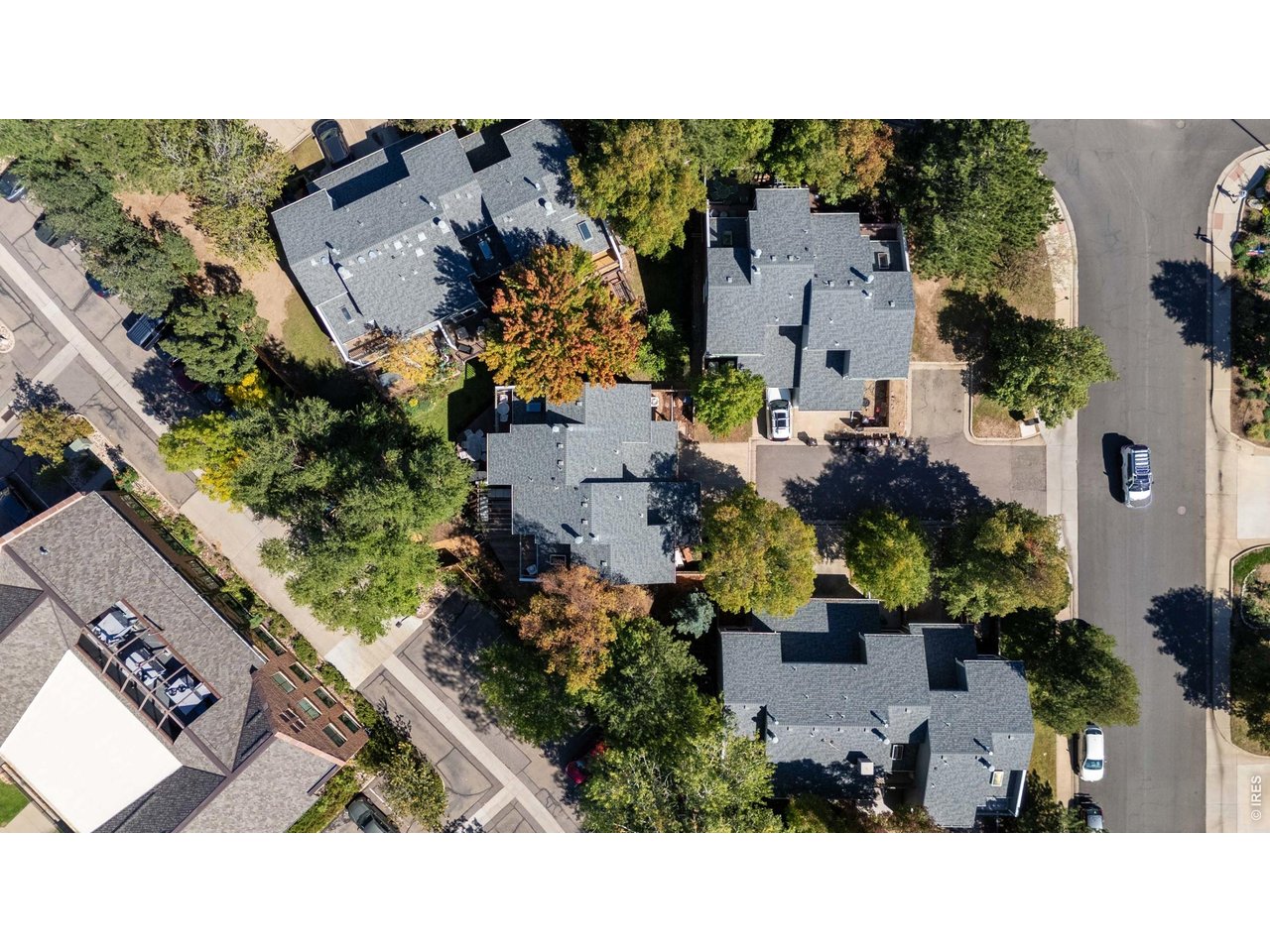 1541 Harrison Ave