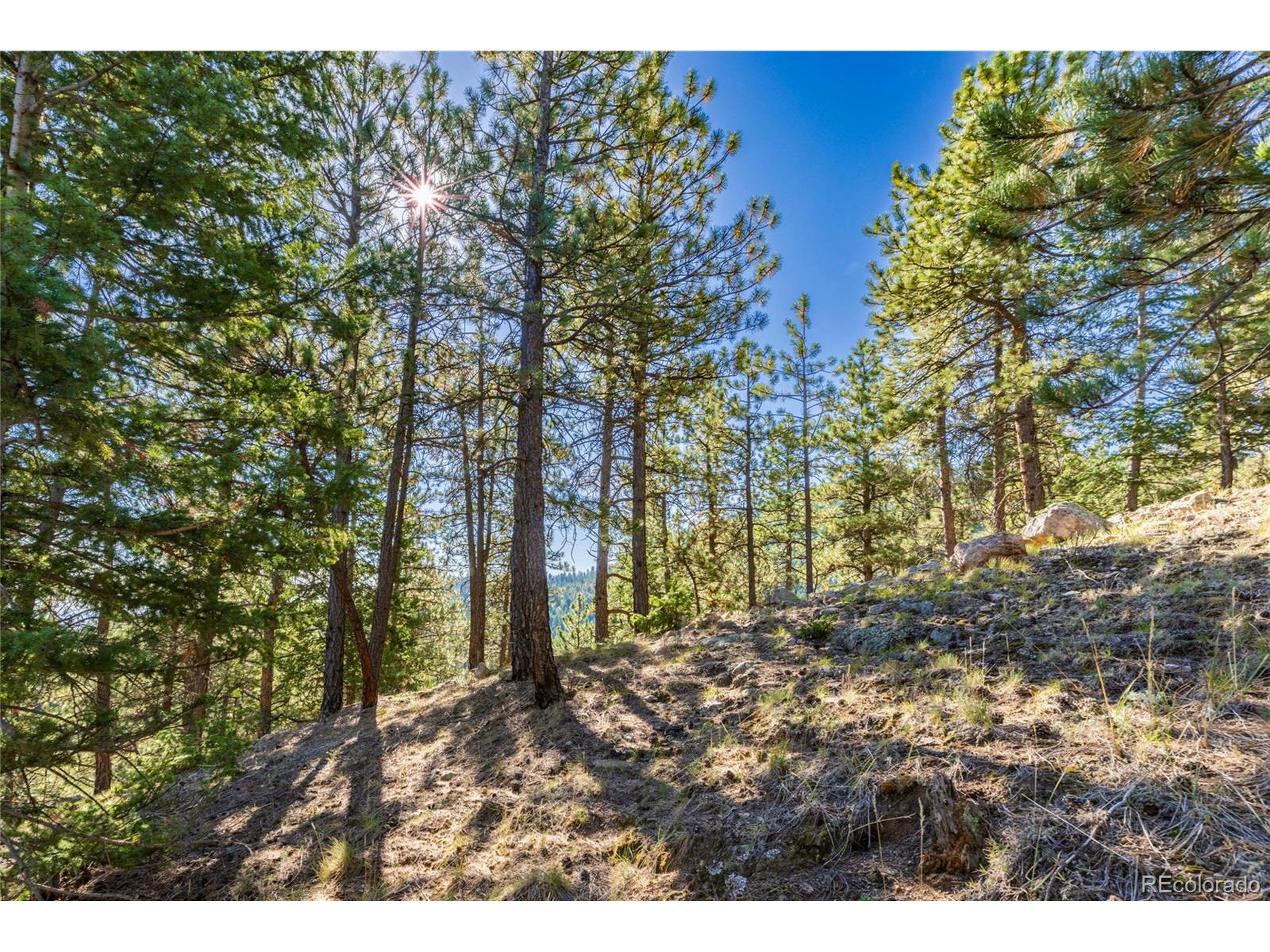 155 Millionaire Dr W