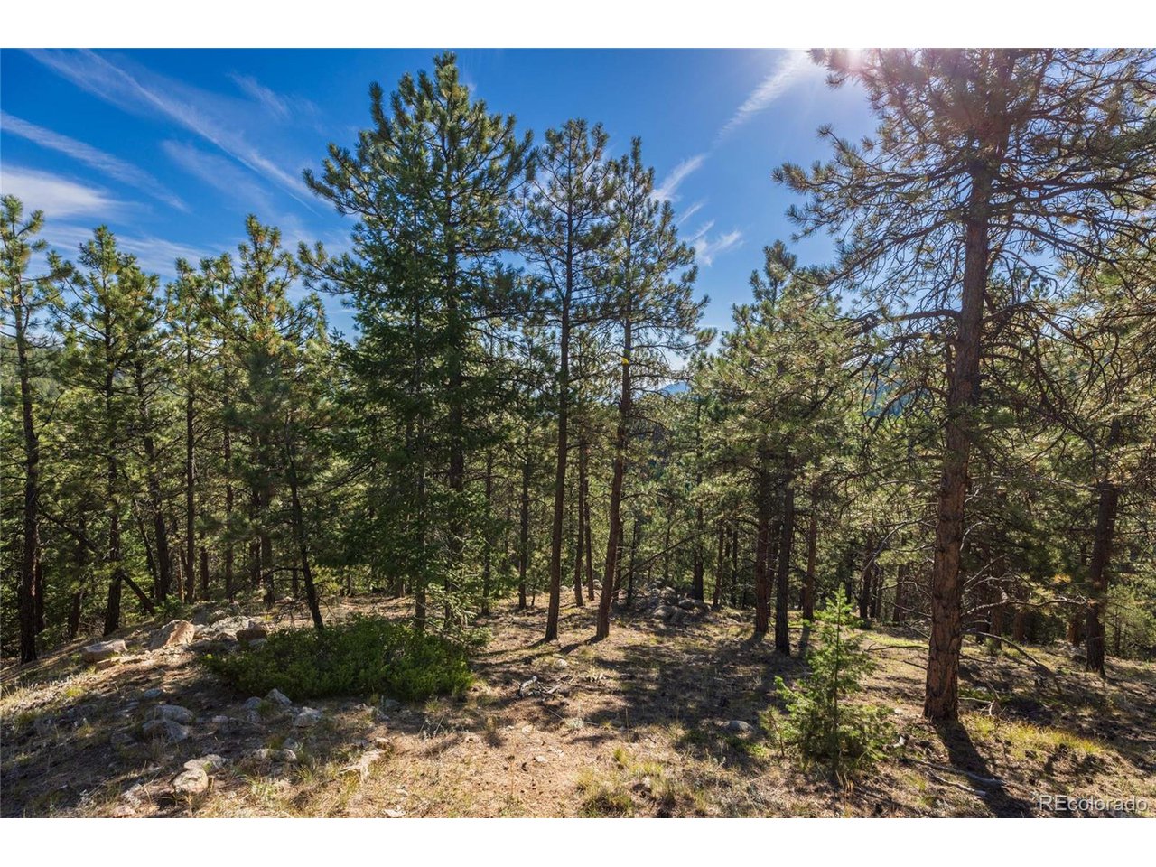 155 Millionaire Dr W