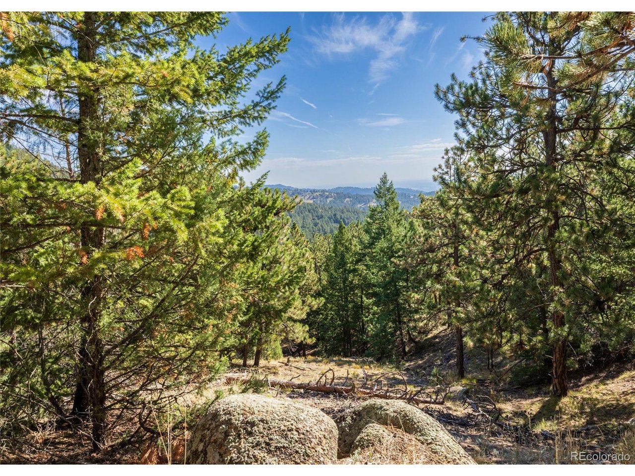 155 Millionaire Dr W