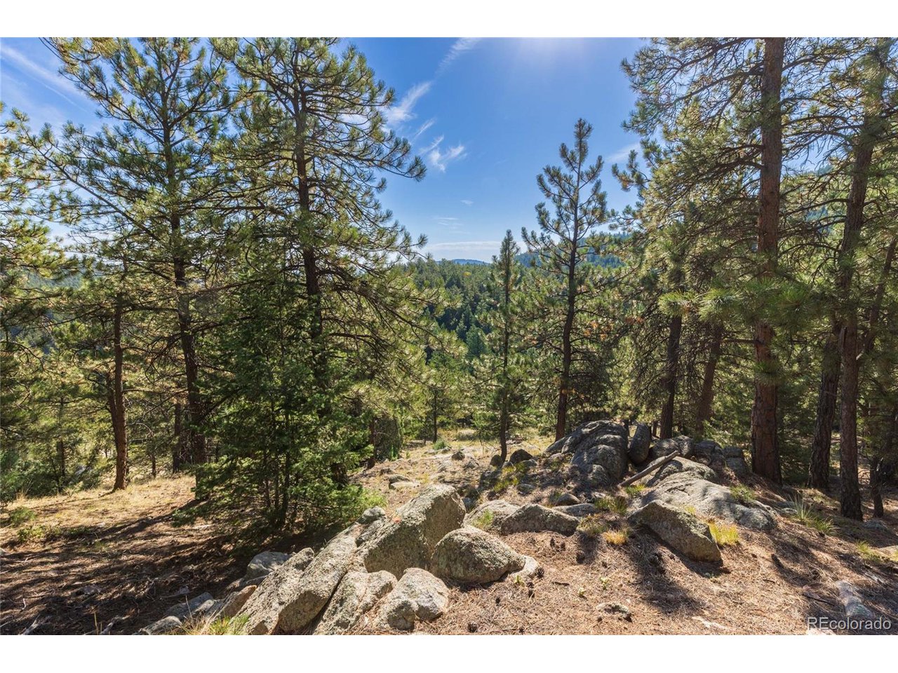 155 Millionaire Dr W