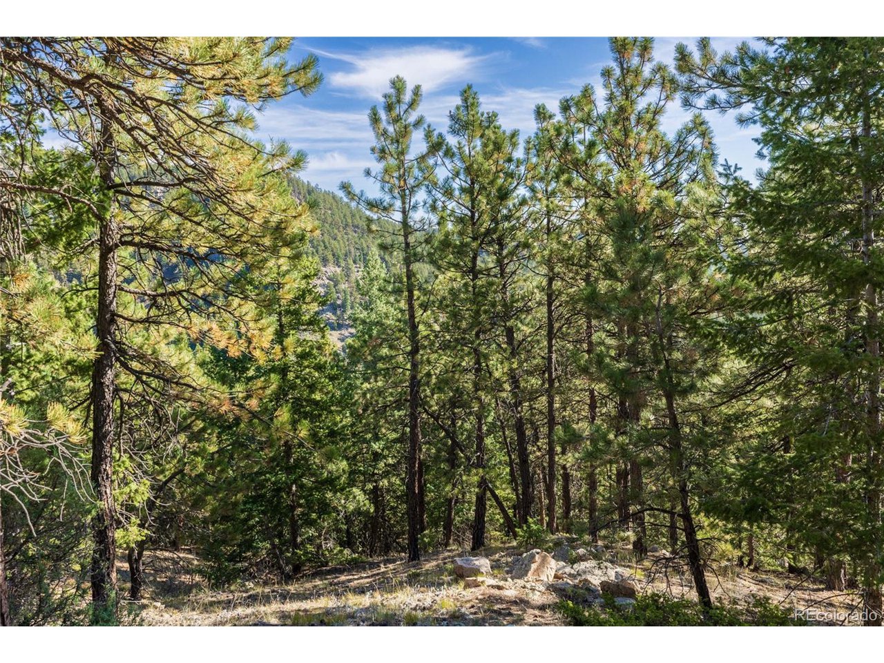 155 Millionaire Dr W