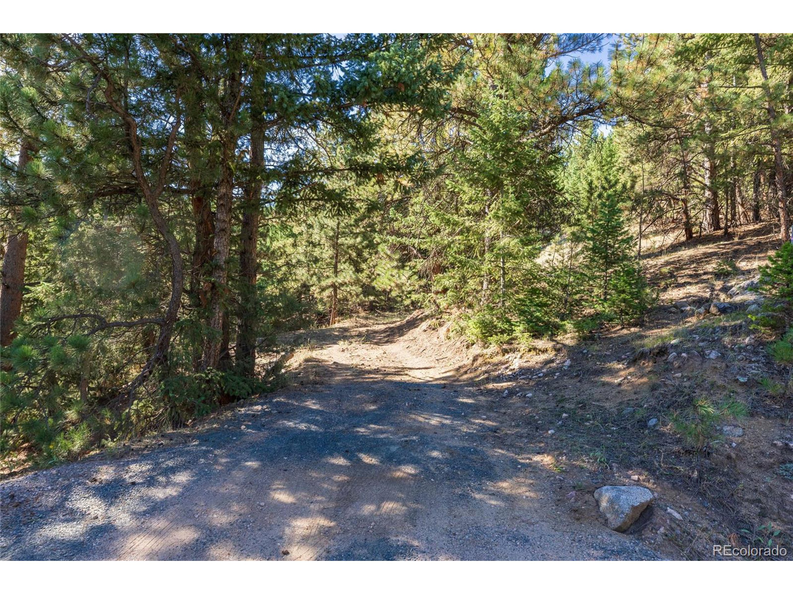 155 Millionaire Dr W