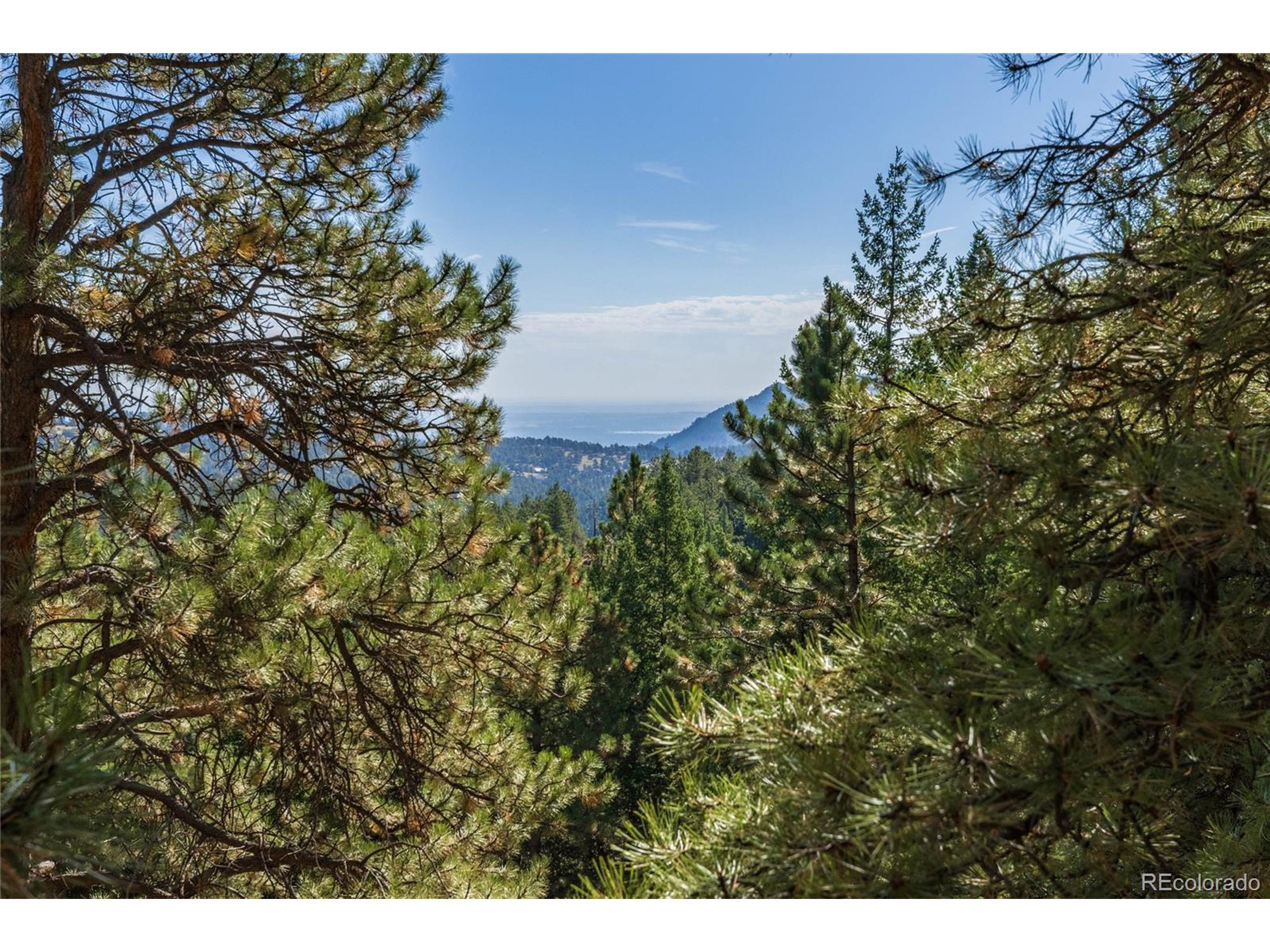 155 Millionaire Dr W