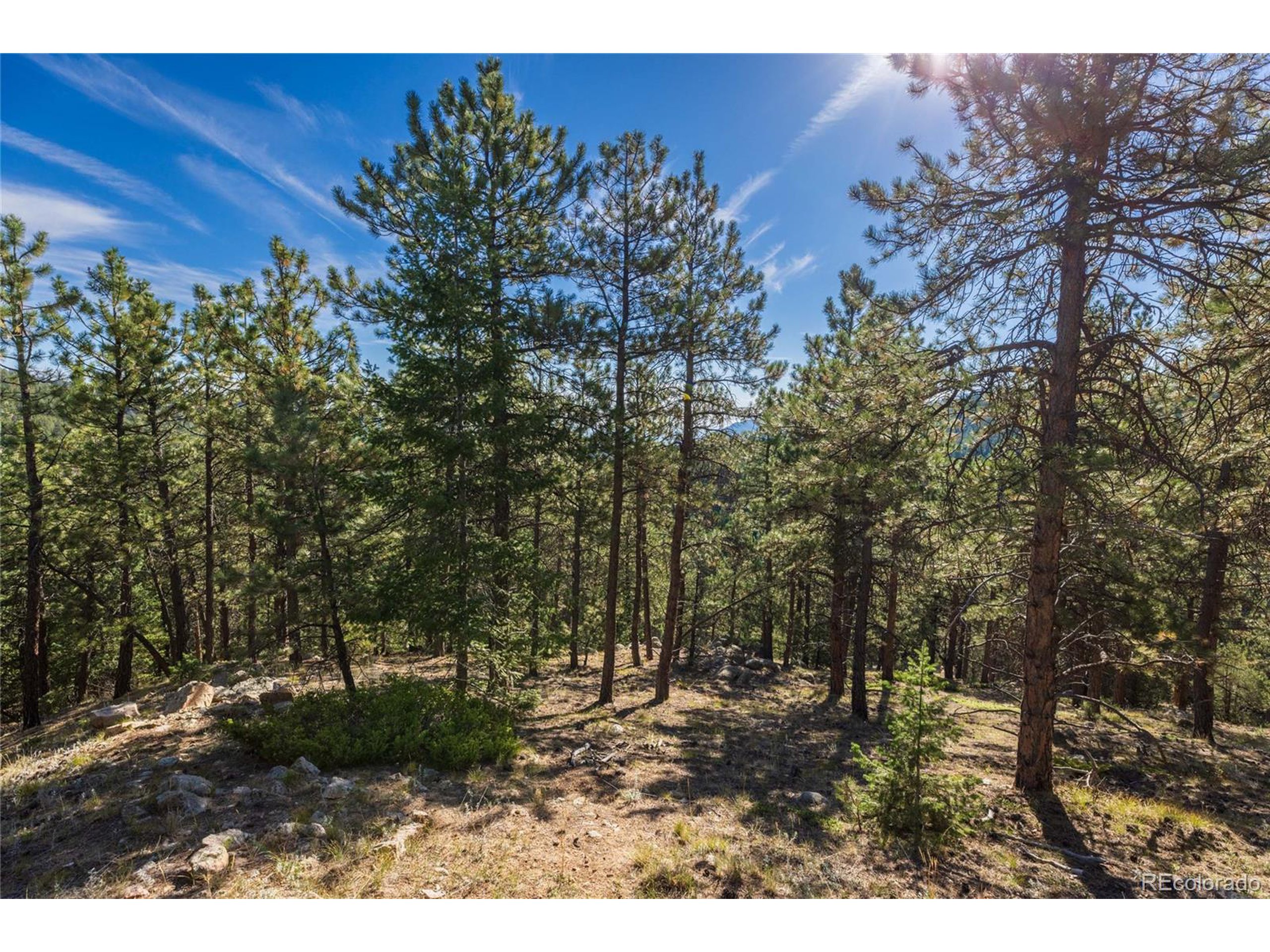 155 Millionaire Dr W