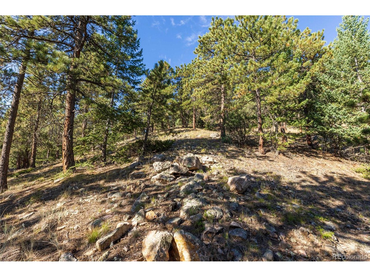 155 Millionaire Dr W