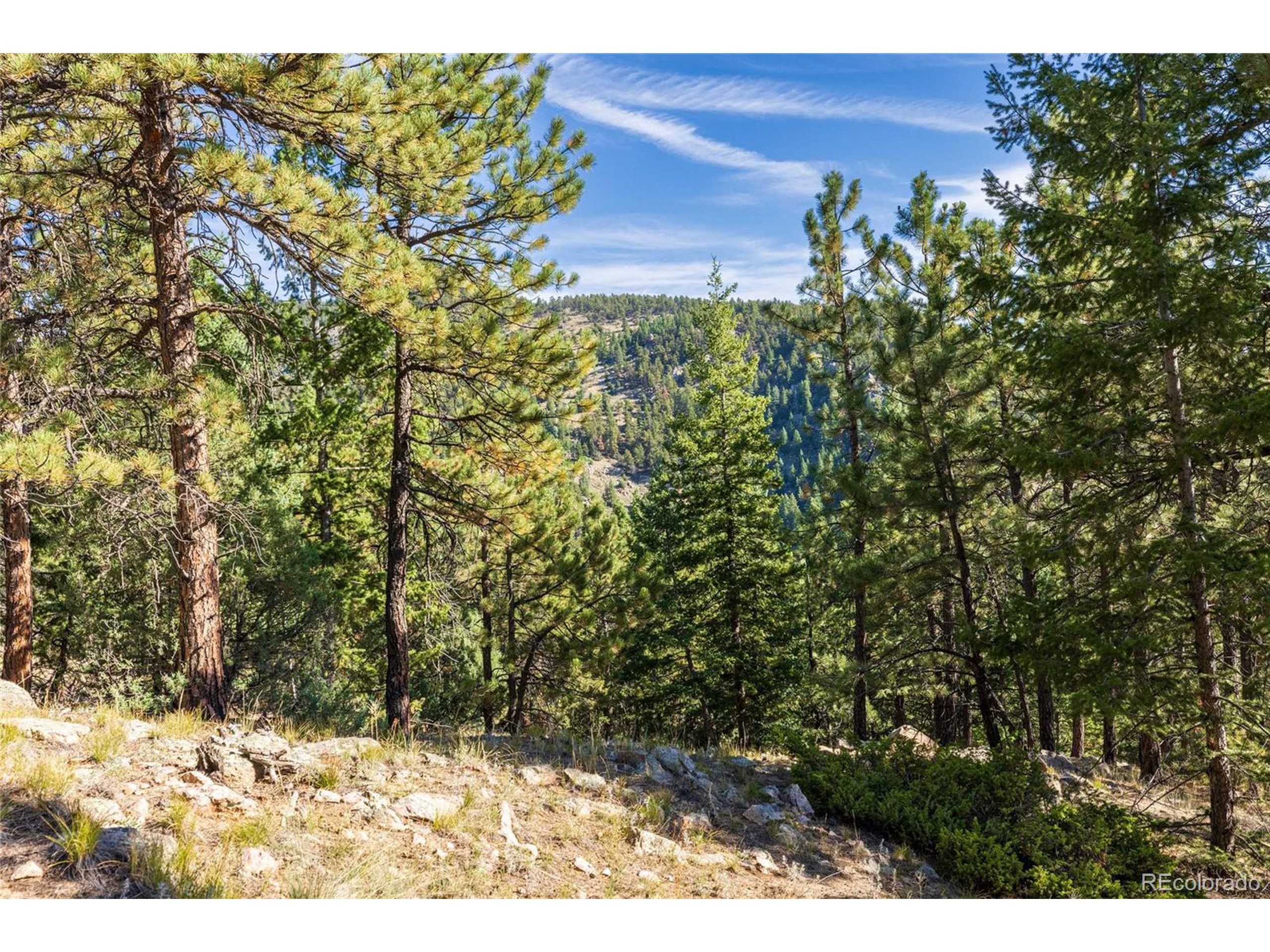 155 Millionaire Dr W