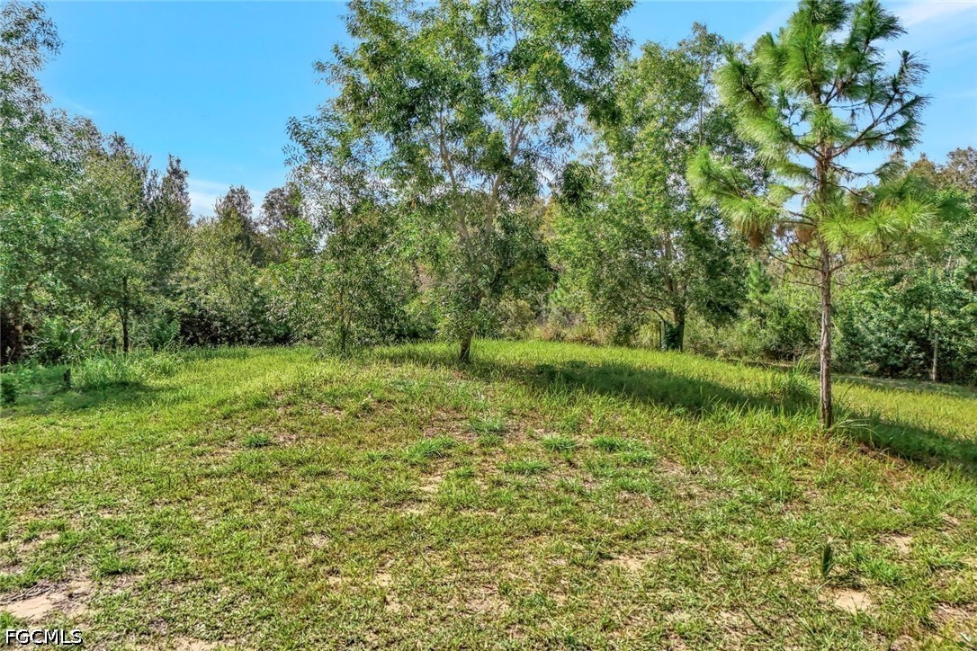 41601 Little Farm RD