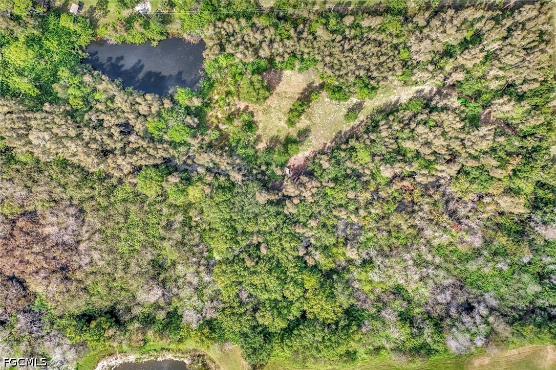 41601 Little Farm RD