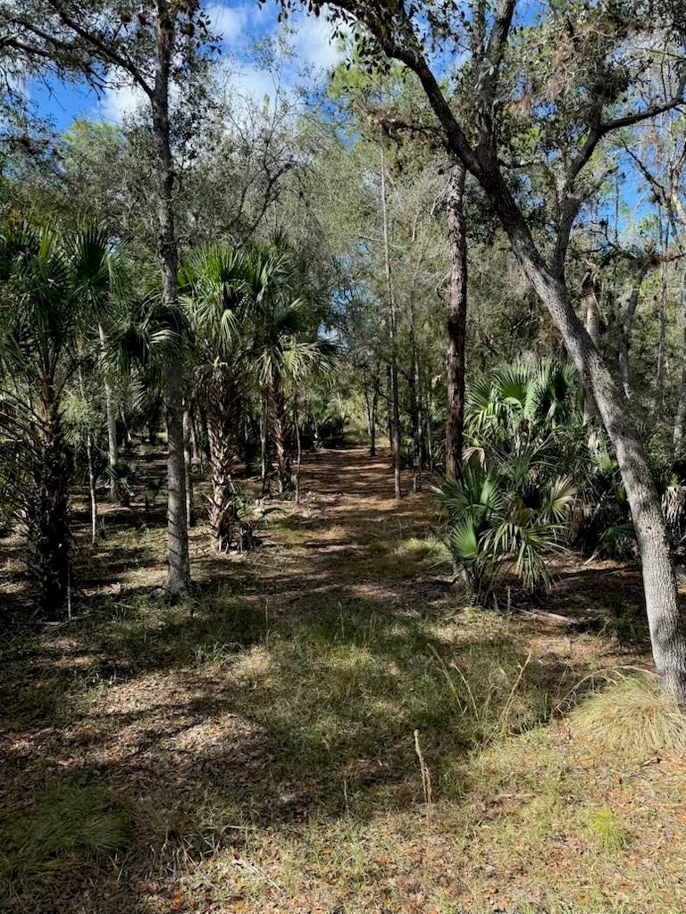 1040 Cracker Hammock