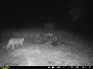 1040 Cracker Hammock