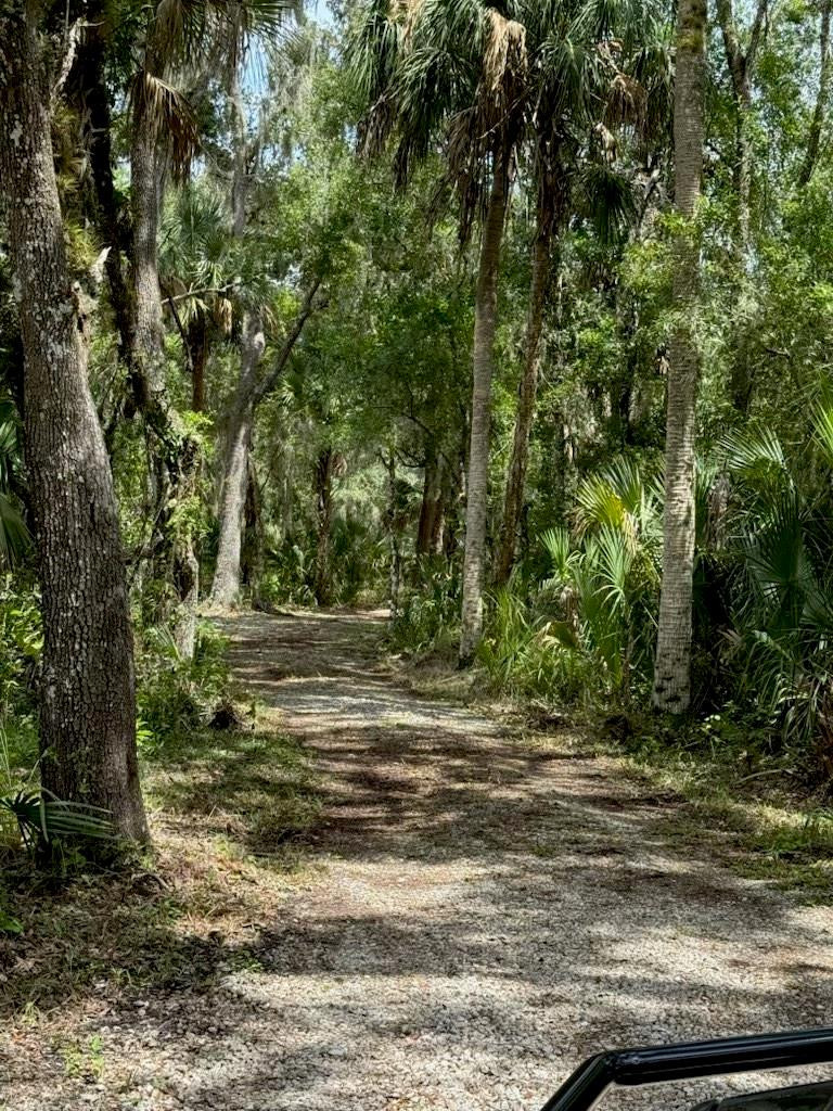 1040 Cracker Hammock