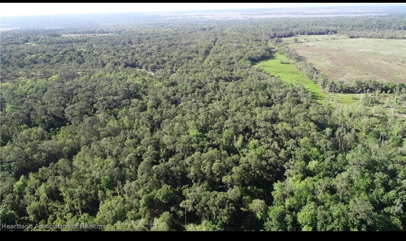 1040 Cracker Hammock