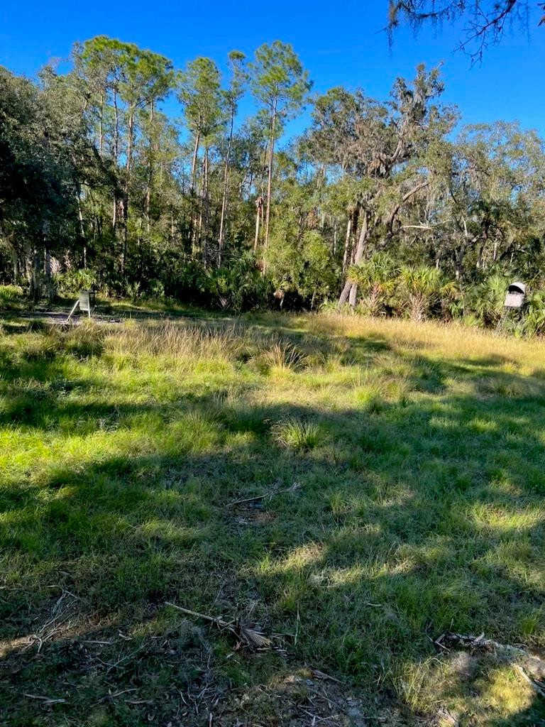 1040 Cracker Hammock