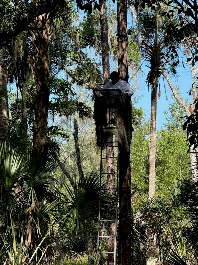 1040 CRACKER HAMMOCK