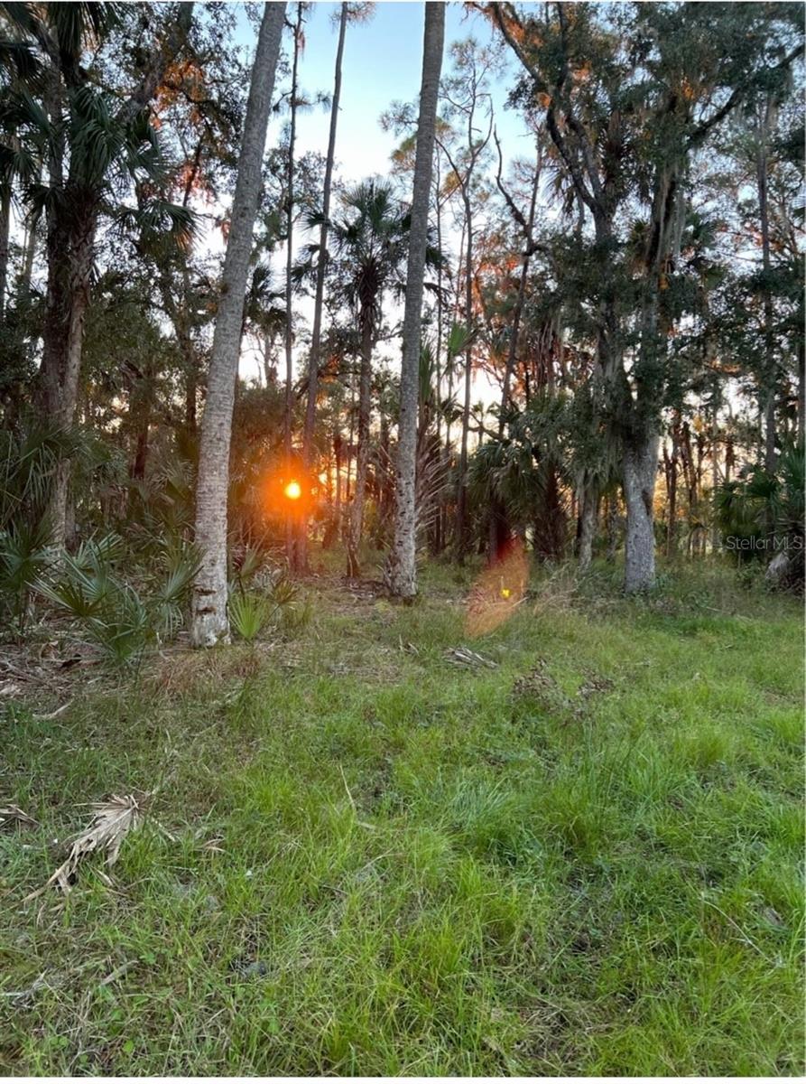 1040 CRACKER HAMMOCK