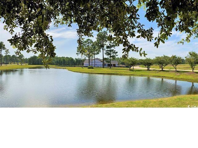 1232 Needle Grass Loop