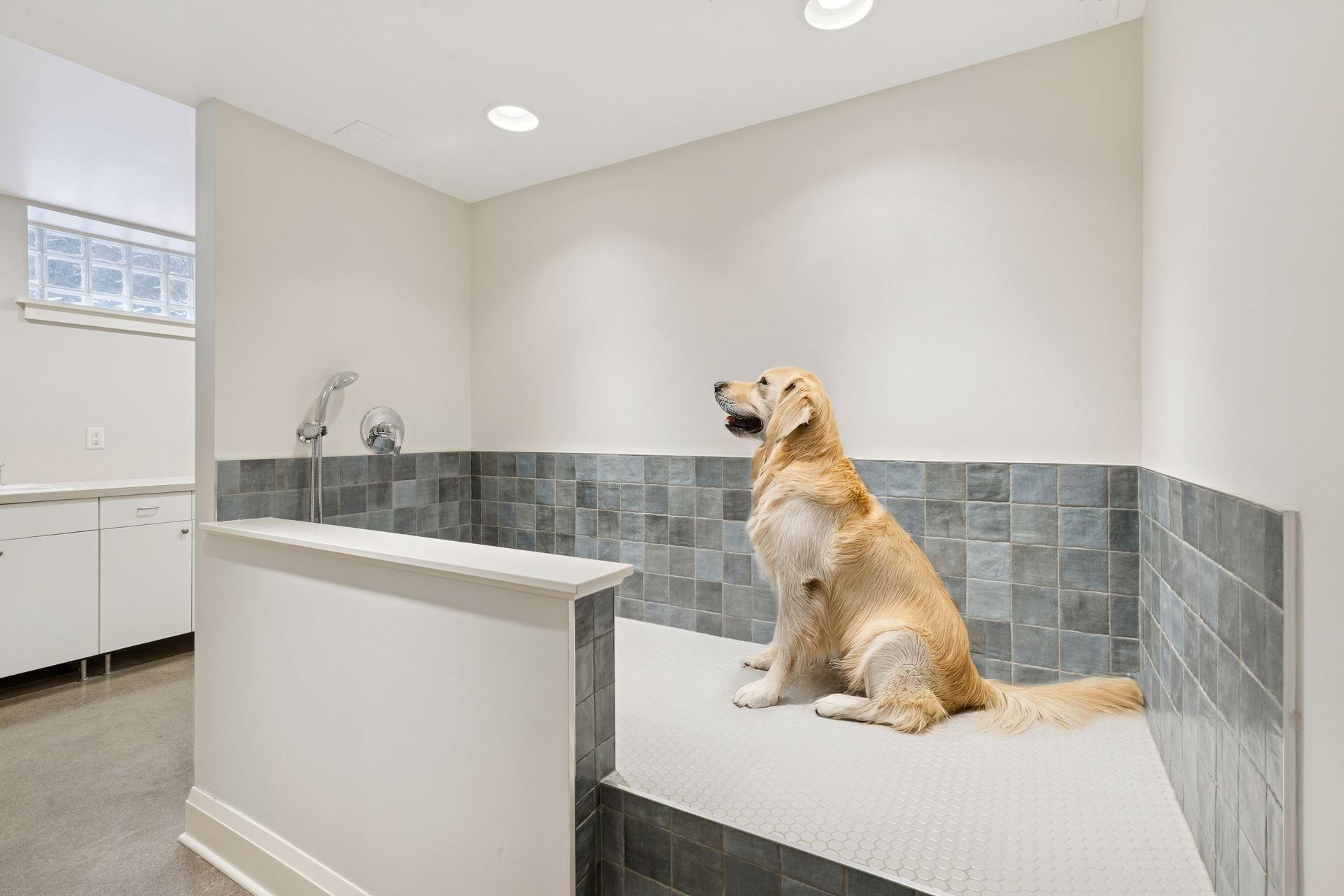 1033 Portland Avenue