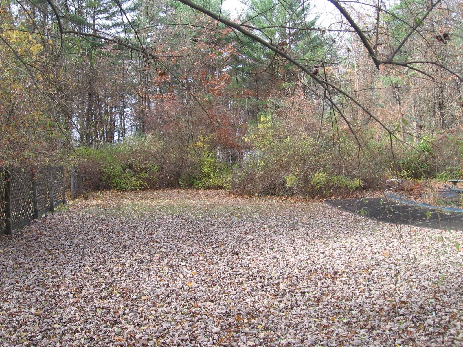 83 Mountain Road