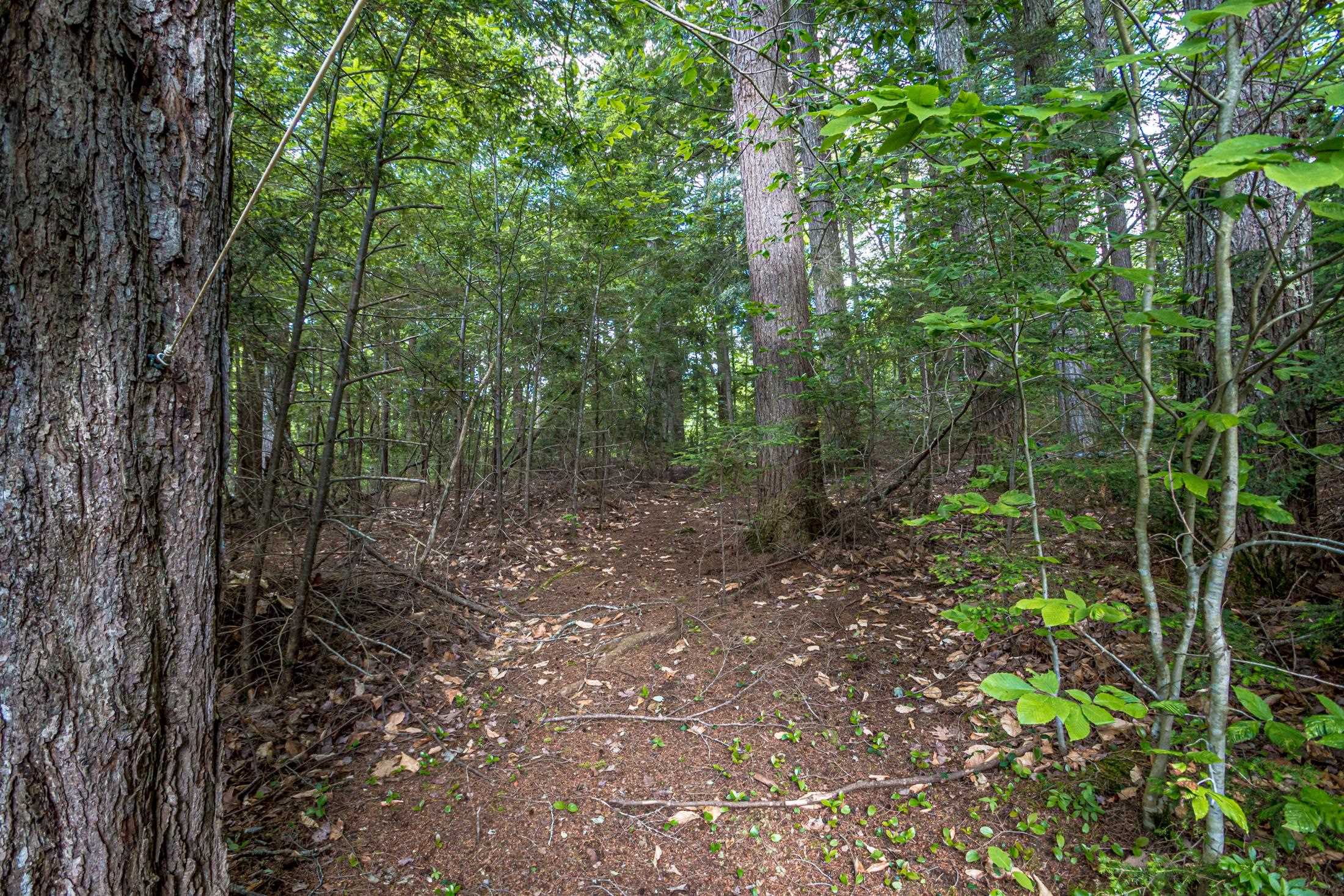 976 Lovell Lake Road