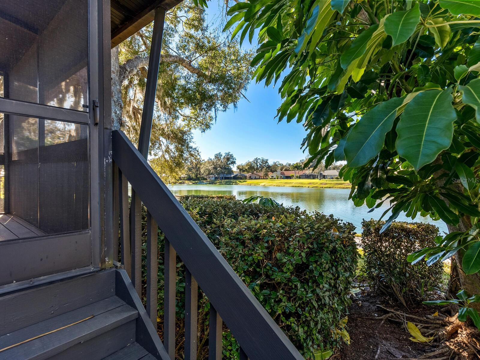 Lake view from a screened porch, framed by leafy trees and shrubs.
