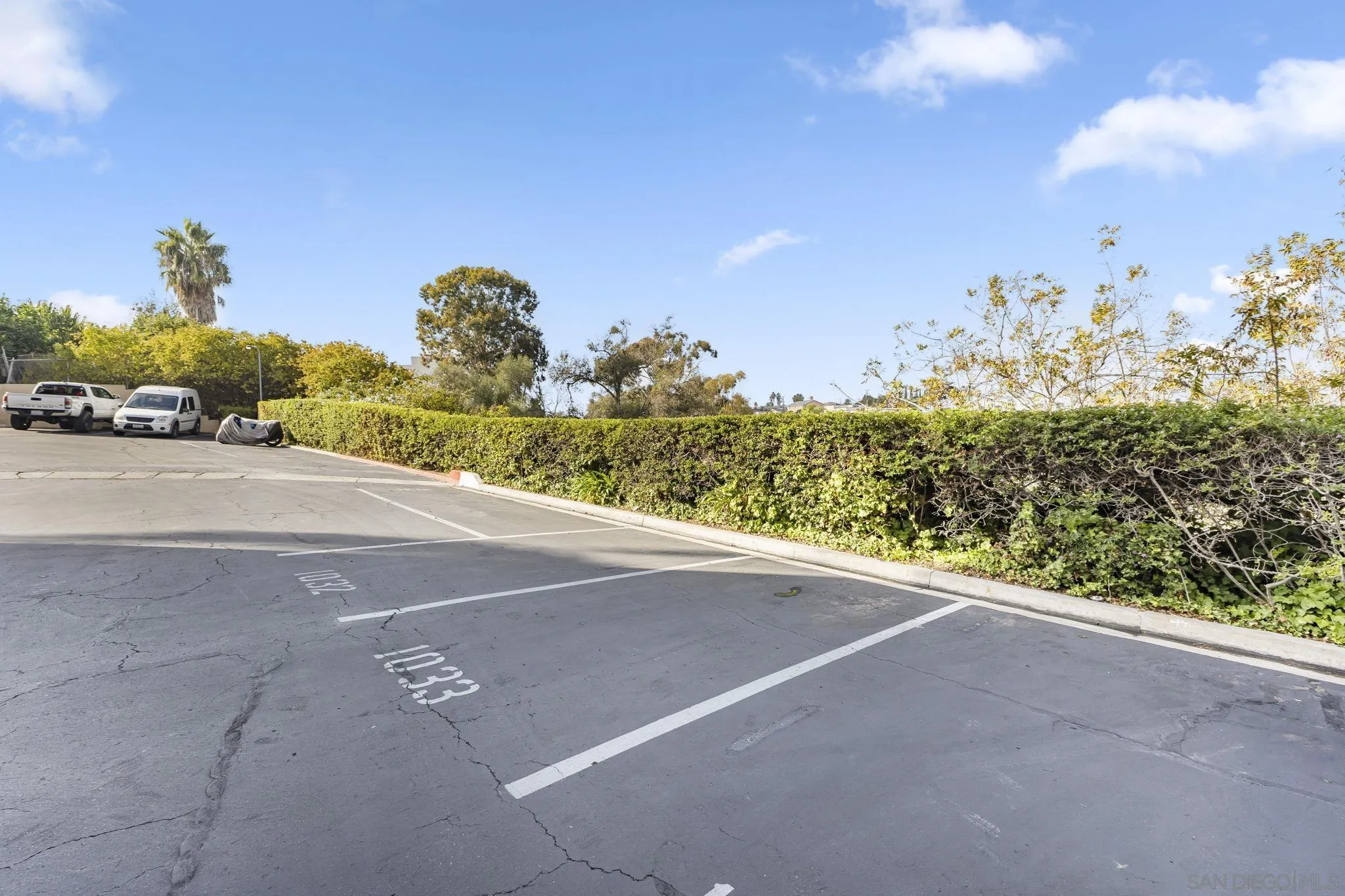 5252 Orange Avenue Unit 313