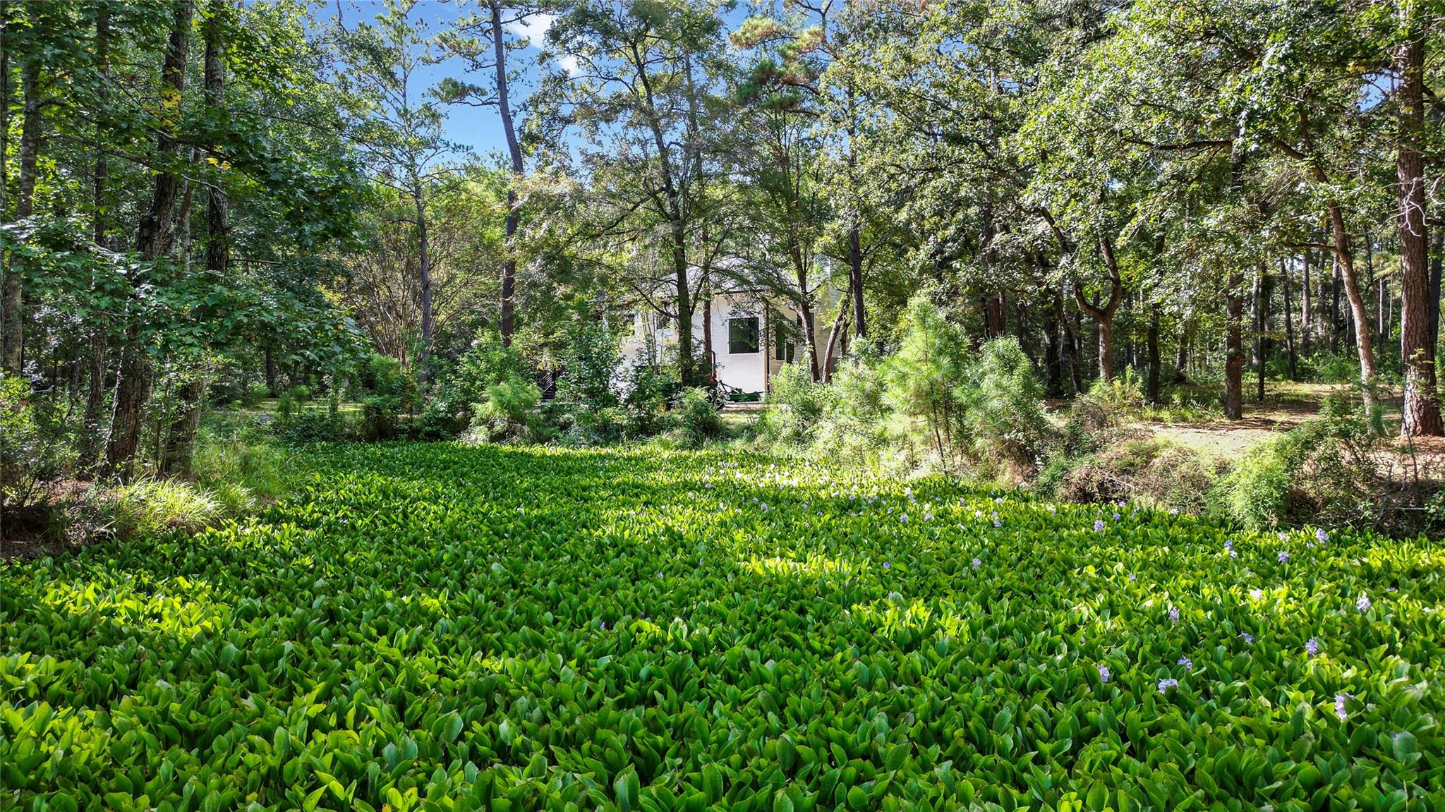 20002 Sapphire Circle