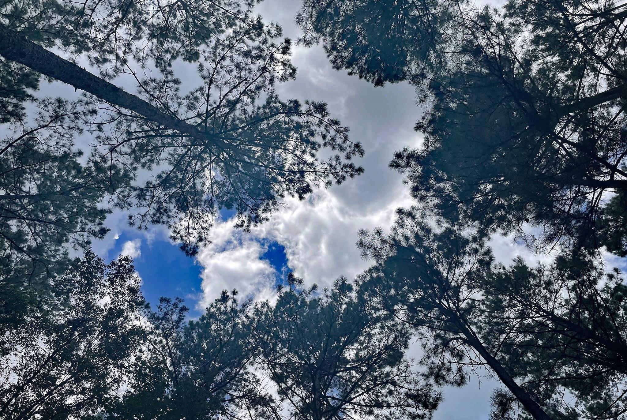 Lot 2&3 Remington Road