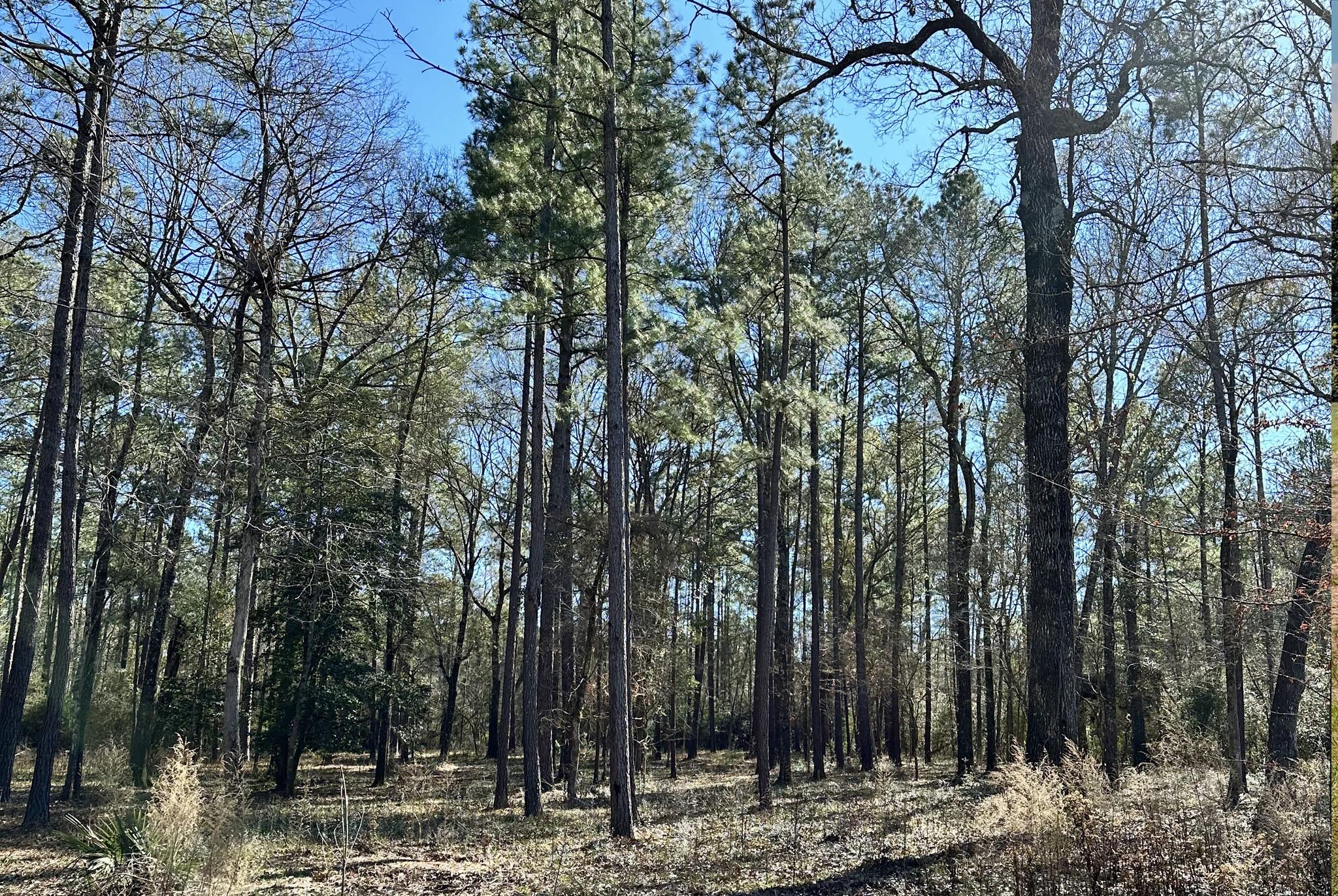 Lot 2&3 Remington Road