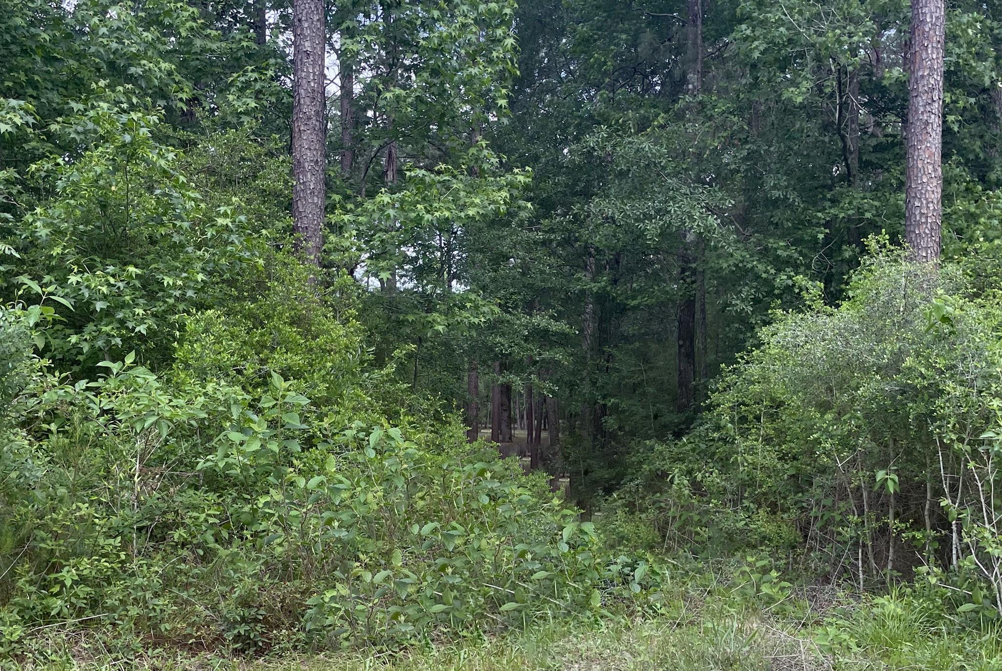 Lot 2&3 Remington Road