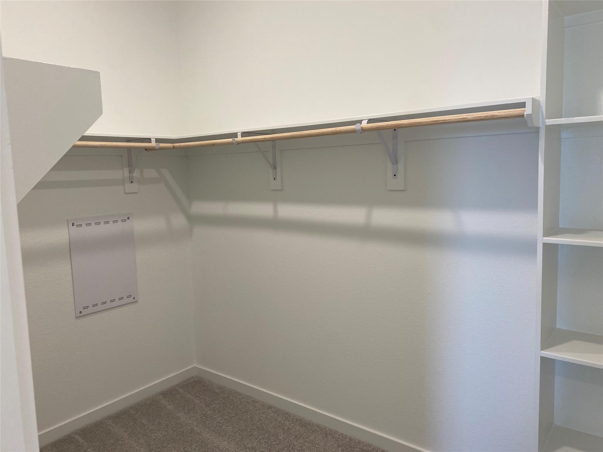 26426 Wild Stonecrop Lane