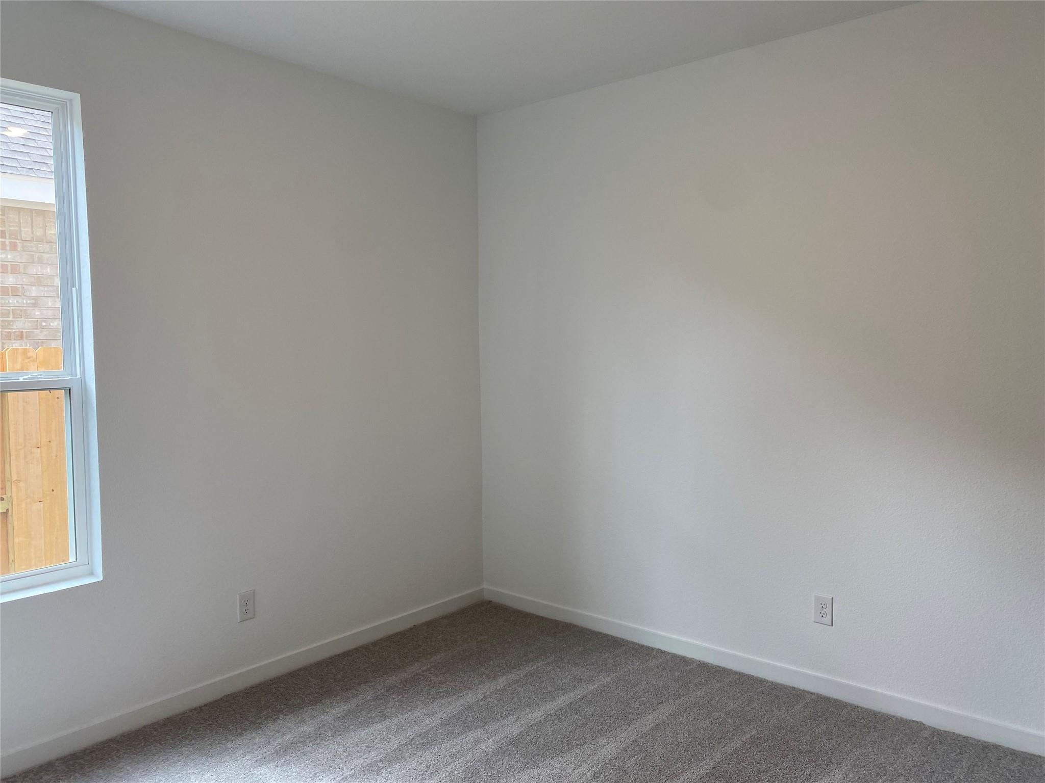 26426 Wild Stonecrop Lane