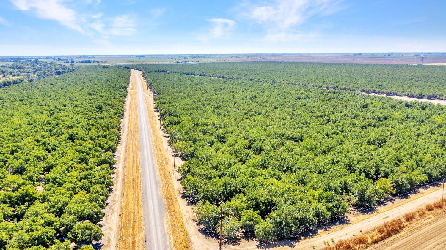 45496 County Road 35