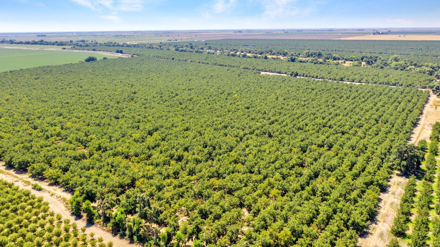 45496 County Road 35