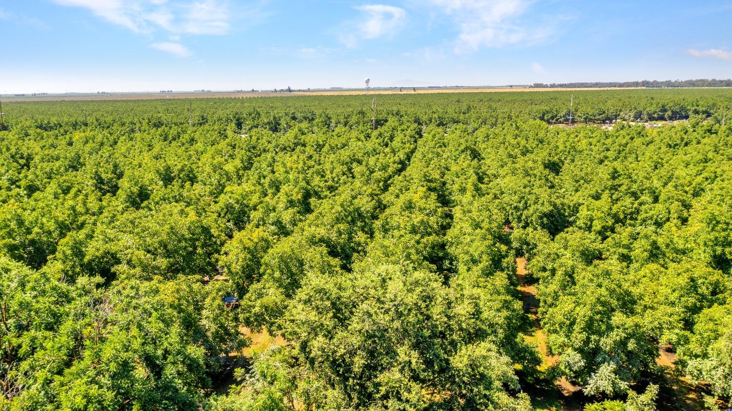 45496 County Road 35