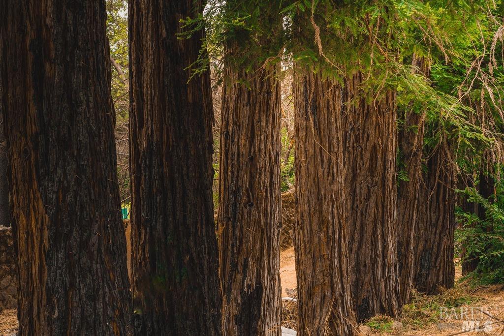 3100 Silverado Trail N