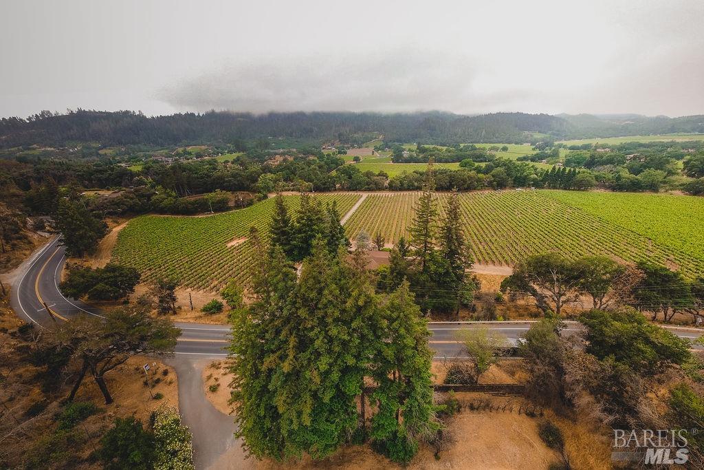 3100 Silverado Trail N