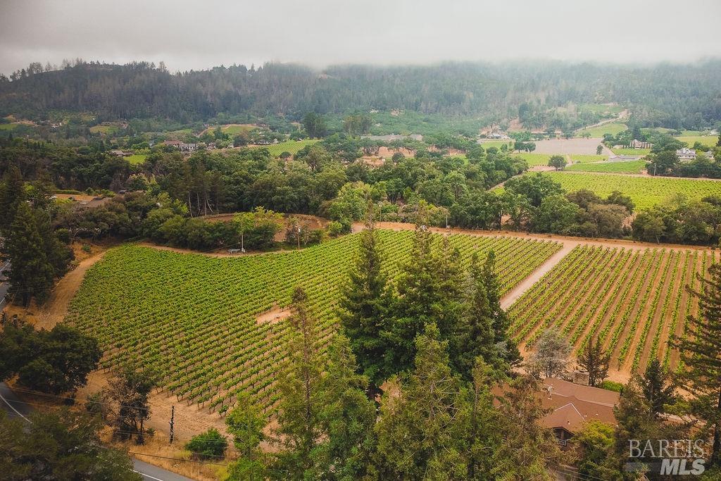 3100 Silverado Trail N