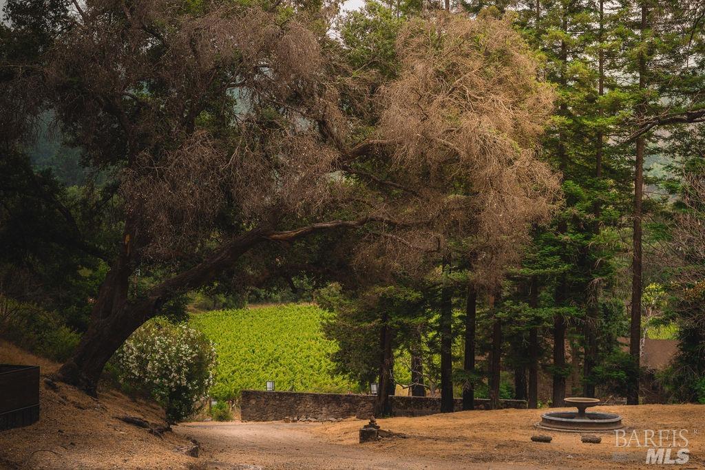 3100 Silverado Trail N