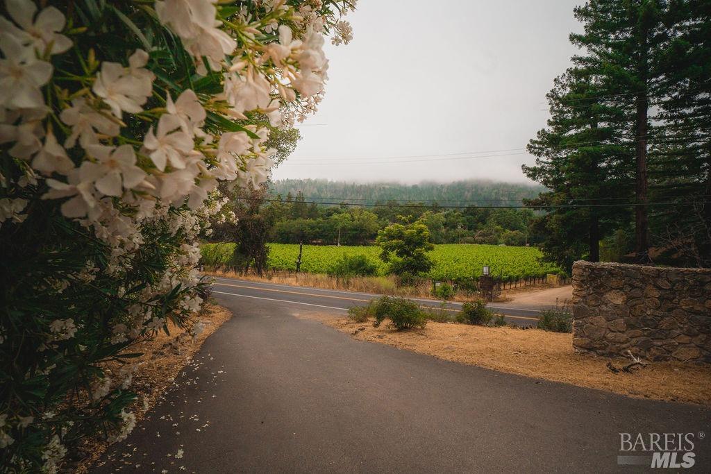 3100 Silverado Trail N