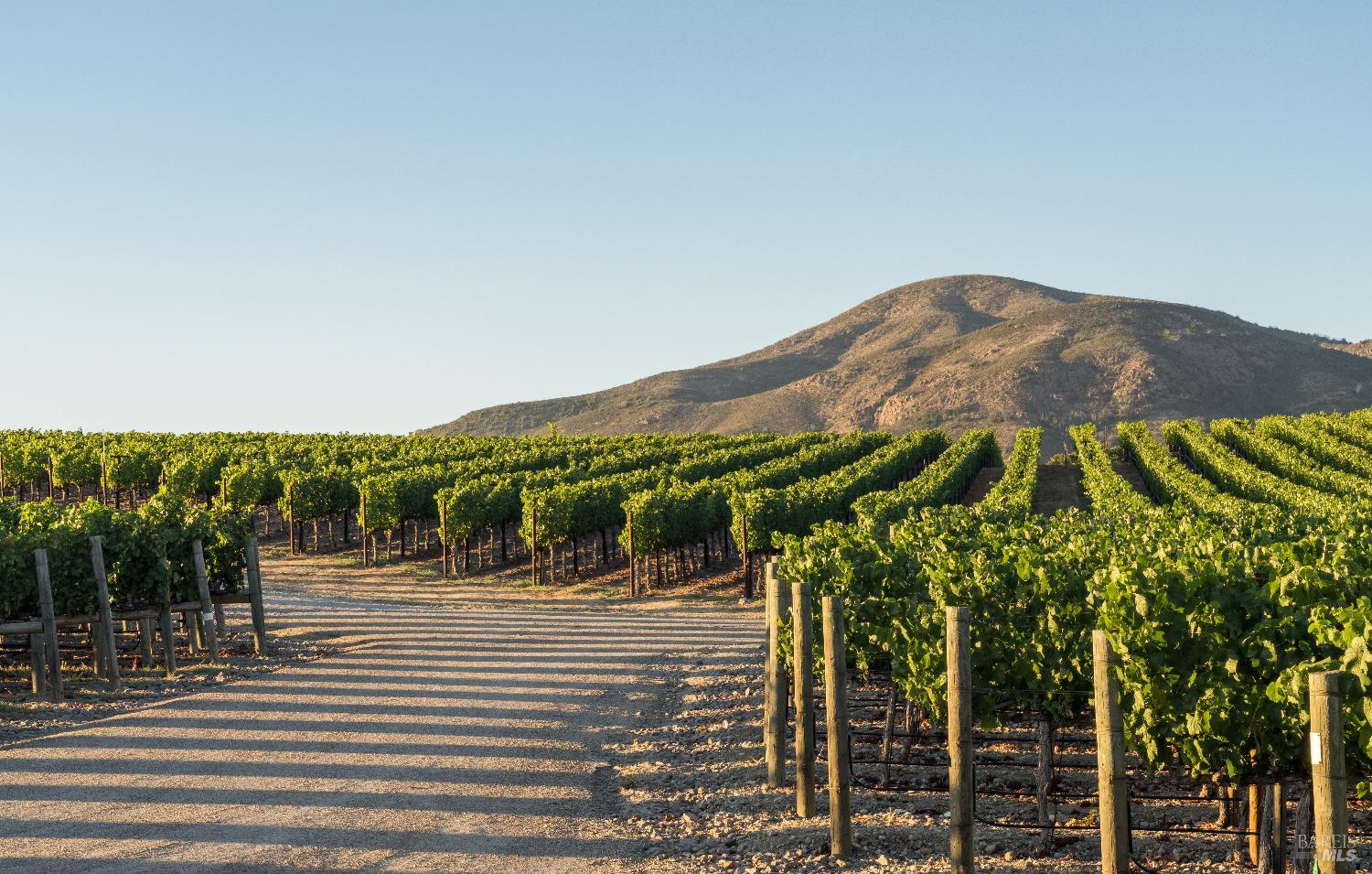 2181 North 3rd Avenue