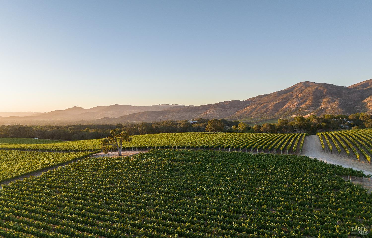 2181 North 3rd Avenue