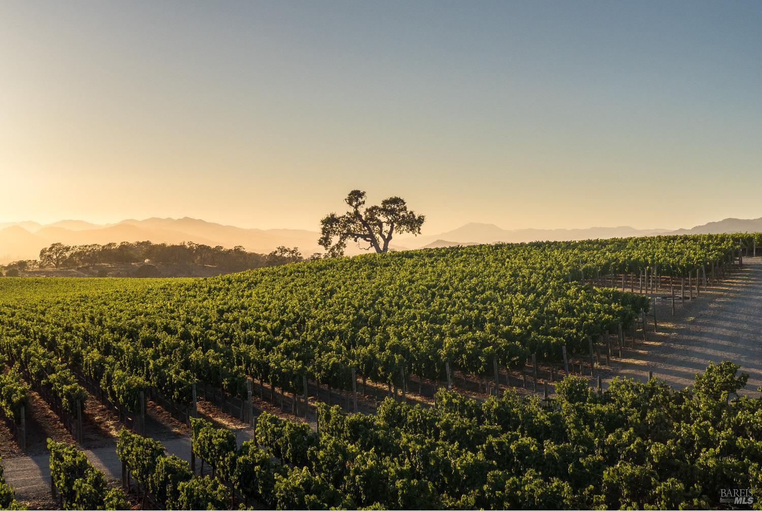 2181 North 3rd Avenue