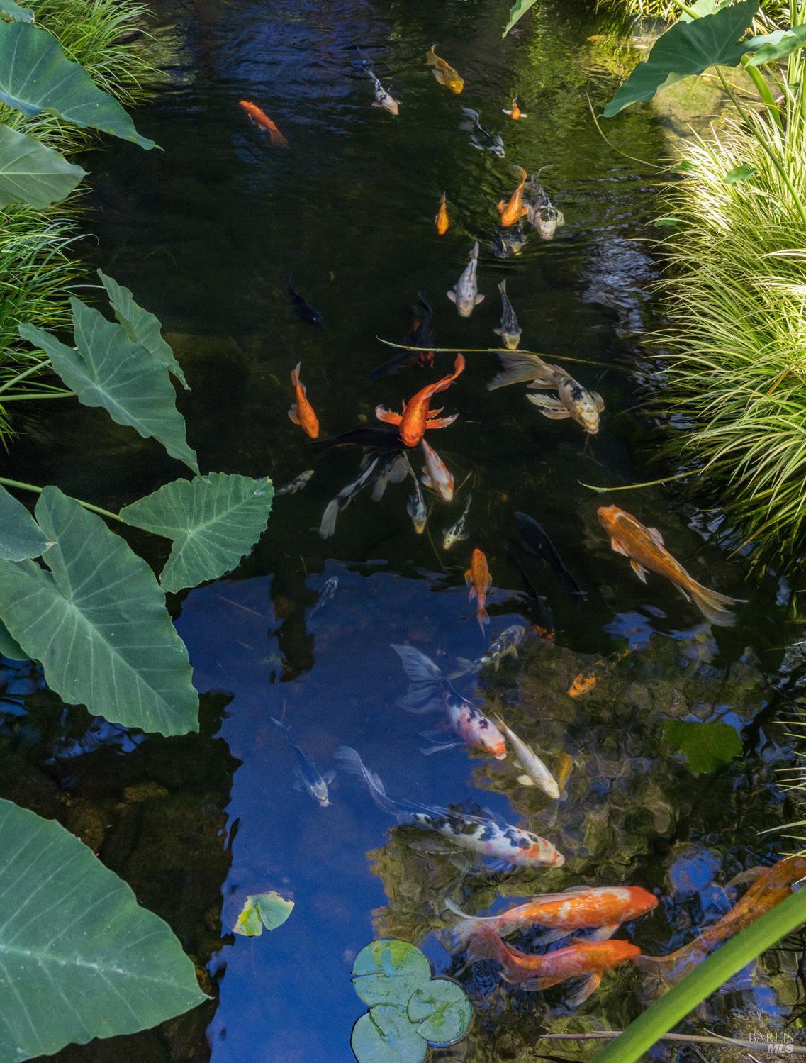 2181 North 3rd Avenue