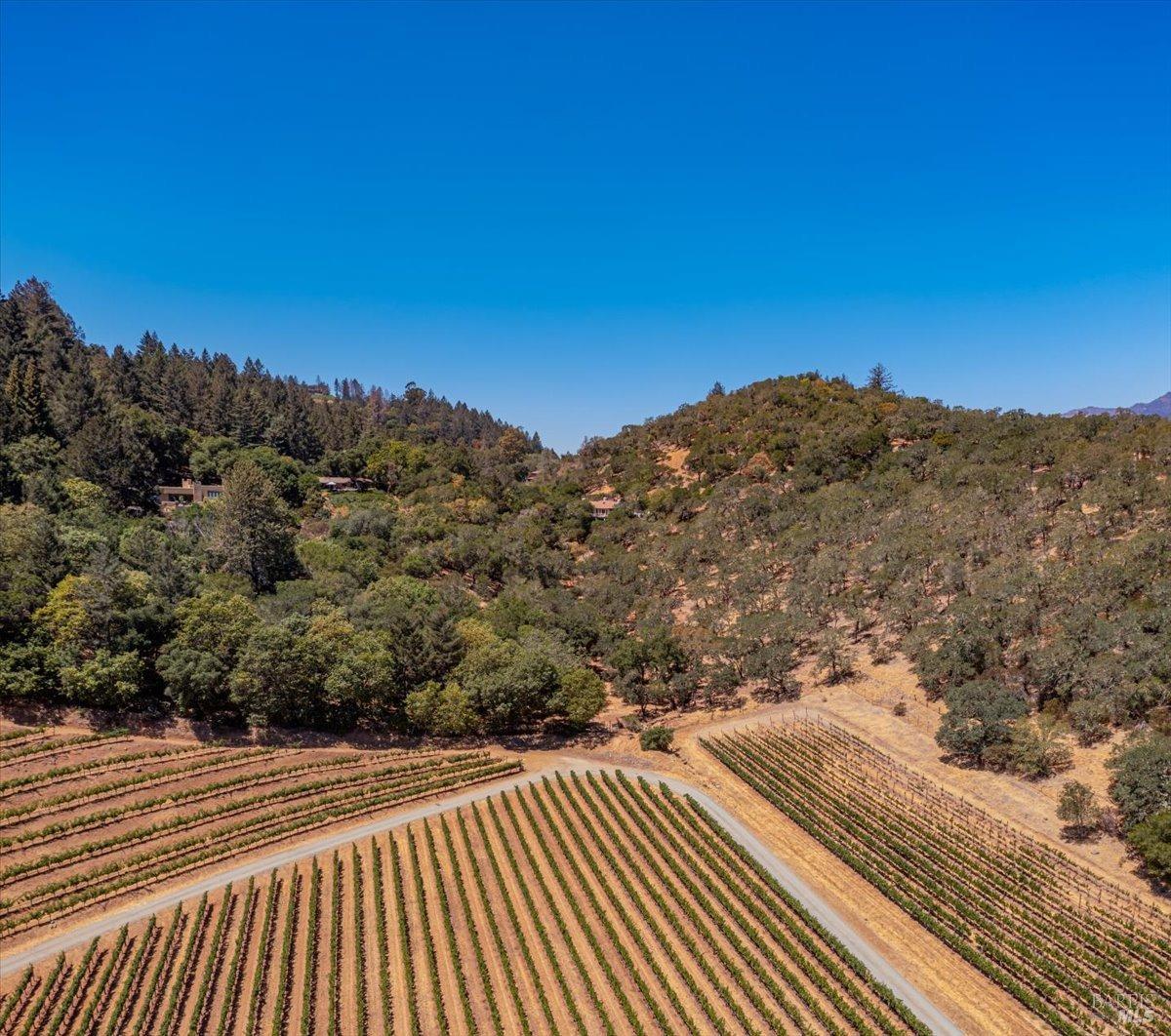 2490 Spring Mountain Road