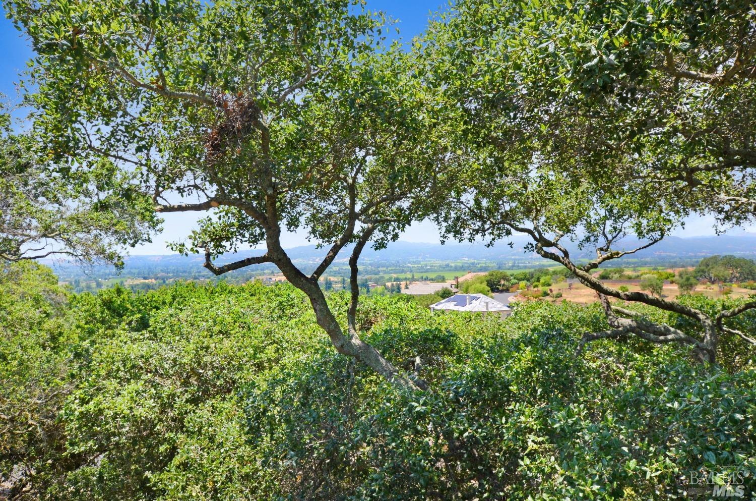 184 Stone Mountain Circle