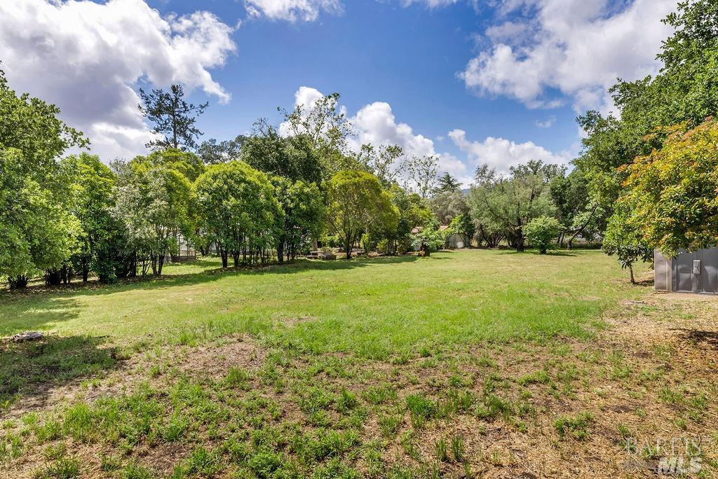 1446 Sulphur Springs Avenue