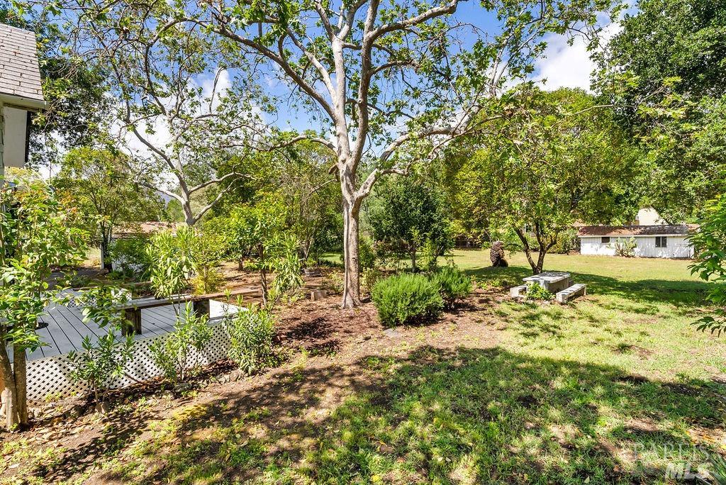 1446 Sulphur Springs Avenue